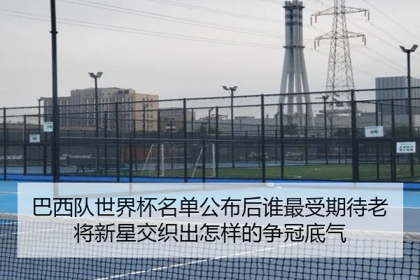巴西队世界杯名单公布后谁最受期待老将新星交织出怎样的争冠底气